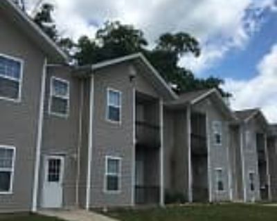 1 Bedroom 1BA Apartment For Rent in Waynesville, MO 100 Patriot Commons Way unit 110