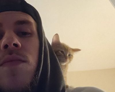 Coy - Needs a House on iROOMit or a Room