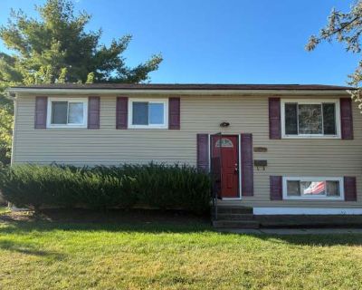 4 Bedroom 2.5BA 1650 ft Pet-Friendly Apartment For Rent in Blacklick Estates, OH