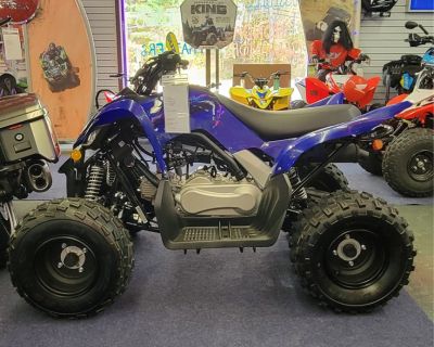 2025 Yamaha Raptor 110