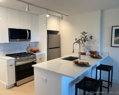 93 Morgan Street, 11B. 2025 Renovation! Brand new- 2 bedroom 1 bathroom in beautifully maintained hi rise bldg in the heart of downtown! Includes heat/water/cooking gas/sewer/trash- Gourmet kitchen w/ stone countertops, Chef's state of the art stainless steel appliances- dishwasher, gas stove, microwave, breakfast bar that opens into sunfilled living area w/ access to private, expansive balcony...