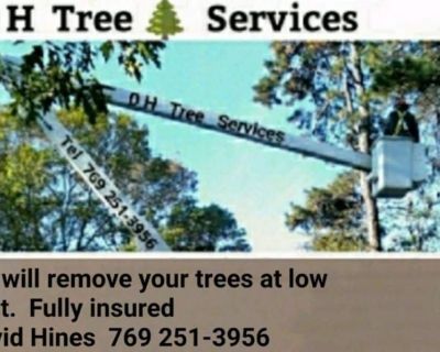 At DH Tree Services we will visit your property and examine your trees and give you a free extimate. We have been in business over 17 years and no one will ever beat our prices. We are fully insured. Tel 769 251-3956 David