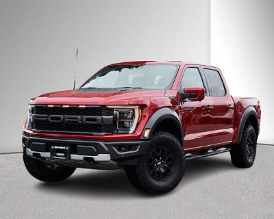 2023 Ford F-150 Raptor - 360 Camera, Navi, Panoramic Sunroof