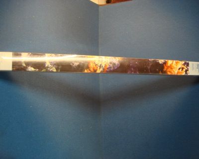 NEW TOP FIN LARGE CORAL AQUARIUM CLING
