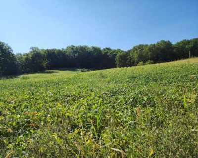 Land For Sale in WAUZEKA, WI