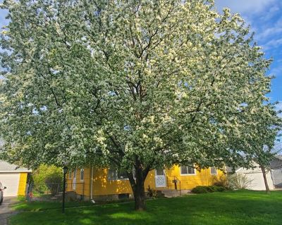 Sallie Harris (Has a House) on iROOMit. Room in the 1 Bedroom 1BA House...