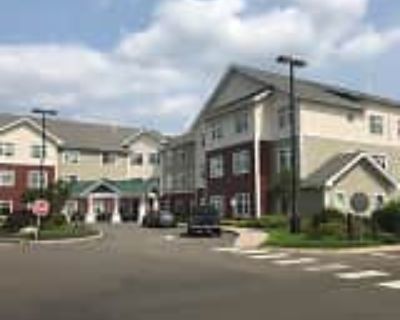 1 Bedroom 1BA Apartment For Rent in Shelton, CT Benchmark Senior Living At Split Rock Apartments