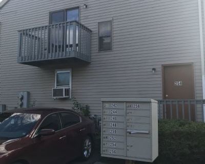 3 Bedroom 1BA Pet-Friendly Condo For Rent in New Haven, CT