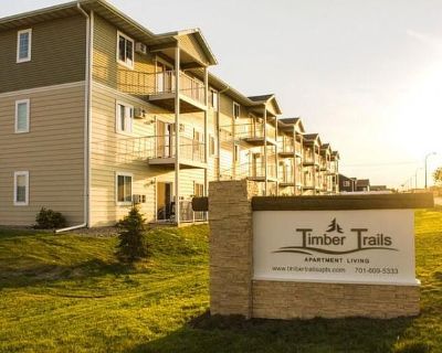 2 Bedroom 1BA 900 ft Pet-Friendly Apartment For Rent in Williston, ND