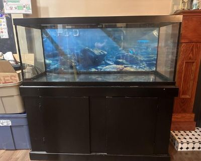 80 Gallon aquarium with stand and lots of accessories