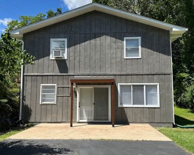 3 Bedroom 1BA 1200 ft Pet-Friendly Apartment For Rent in Grand Rivers, KY