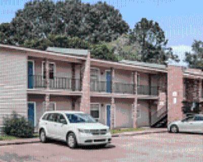 2 Bedroom 1BA 800 ft² Apartment For Rent in Lafayette, LA 815 Martin Luther King Jr Dr unit 17