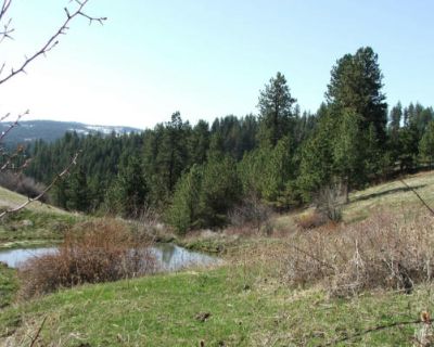 Land For Sale in CottonWood, ID