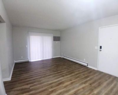 1 Bedroom 1BA 750 ft Apartment For Rent in Sturgis, MI