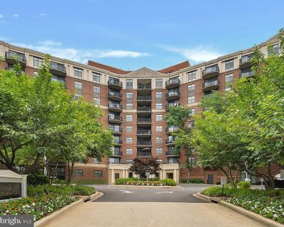 Year Built 1989 Bedroom 1BA 500 ft Apartment For Rent in Washington, DC