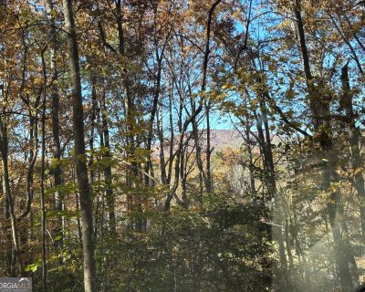 1 Bedroom 1BA 688 ft Single Family House For Sale in Clayton, GA