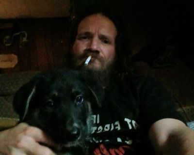 I'm a dog lover and have 3 German shepherds I work nights. Till 2 am..