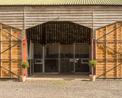 Premium Quality Hemp Horse Shavings in Bulk and hemp horse bedding Dutchess NY. Available by the Pallet or Truckload. 100% Biodegradable, Highly Absorbent, Virtually Dust-Free, Antibacterial.