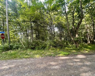 Lots and Land For Sale in Canadohta Lake, PA