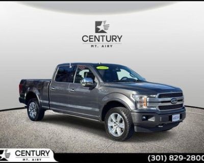 2019 Ford F-150 4X4 Platinum 4DR Supercrew 6.5 FT. SB