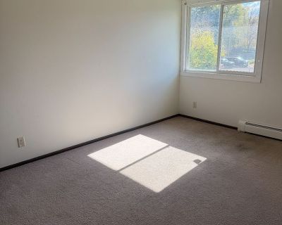 1 Bedroom 1BA 690 ft Pet-Friendly Apartment For Rent in Mc Farland, WI