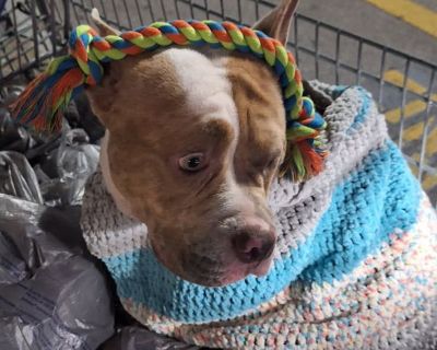 Hi. Me and my husband is looking for a sane roommate. It's a 2 bedroom 1 bathroom trailer. So we share bathroom sorry! We don't own it the the owner is cool with us finding some for the room because our last roommate was a bad experience and we can only exist around good people.. 2 Bedroom. 1 Bathroom