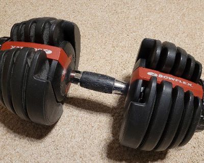 Bowflex SelectTech 552 Adjustable Dumbbells