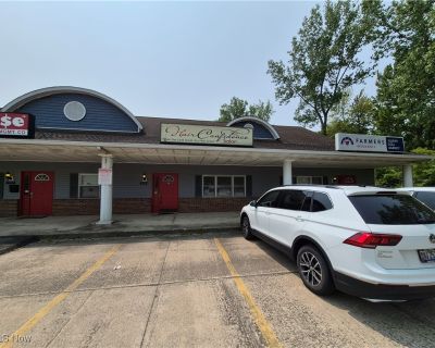 Commercial Property For Sale in Sheffield Village, OH