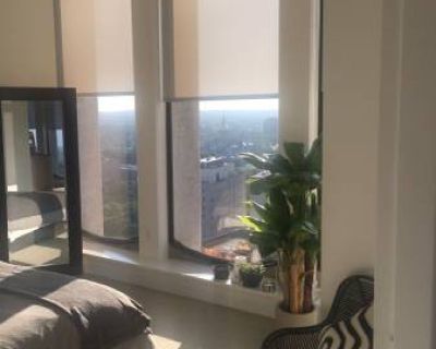 Luxury High Rise Apartment (Hartford)