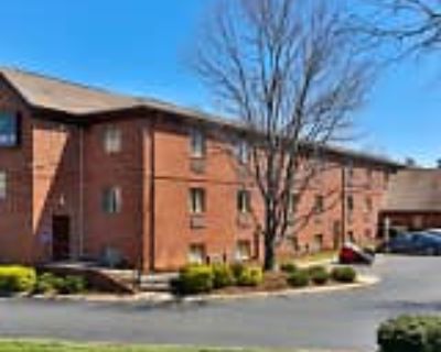 1BA 300 ft² Pet-Friendly Apartment For Rent in Charlotte, NC Furnished Studio Charlotte University Place E Mc Cullough Dr Apartments