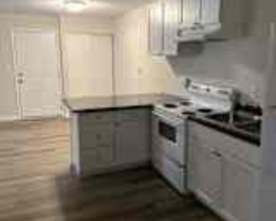 2 Bedroom 1BA Pet-Friendly Apartment For Rent in Urbana, IL 1507 E Washington St unit C34