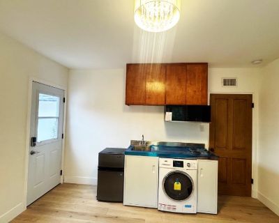 Pet friendly $750 per month room to rent in Chicago Loop