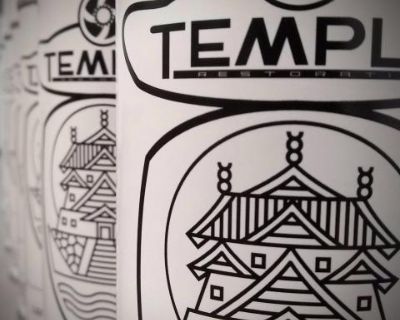 TEMPLE PAINTS Touch Up for VW Type34 Colors