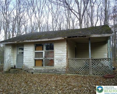 1 Bedroom 1BA 600 ft Single Family House For Sale in Mount Bethel, PA