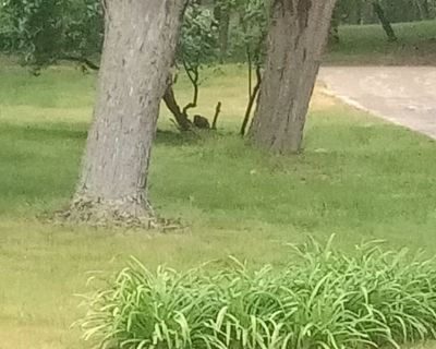 Available on: now. Furnished. Parking available * Internet included HHC will require background checks for this room Learn more. Wood & ceramic Floors, granite kitchen and tiled bathrooms. Property sits back off the quiet road near an I 75 exit! Easy to get to! Base price is $1000 per mth includes bed with pillow and sheet set, night stand with lamp, utilities, elec, gas forced heat , Central A...