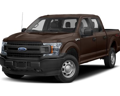 Used 2019 Ford F-150 For Sale at Sioux City Ford Lincoln | VIN: 1FTEW1E4XKFD01235