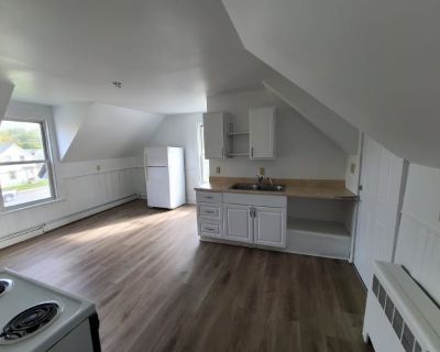 4 Bedroom 1BA 1000 ft Pet-Friendly Apartment For Rent in Old Town, ME