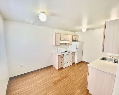 1 Bedroom 1BA 582 ft Pet-Friendly Apartment For Rent in Casper, WY