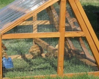 Duck coop for sale- Portable and Protective