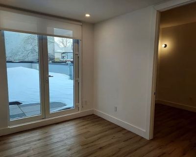 Pet friendly $750 per month room to rent in Brooklyn