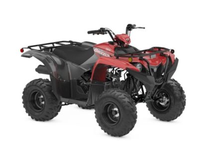 2025 Yamaha Grizzly 110