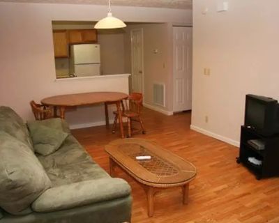 3 Bedroom 2.5BA 1328 ft Pet-Friendly Apartment For Rent in Abingdon, VA