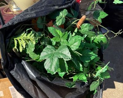 Bag Full of Greenery