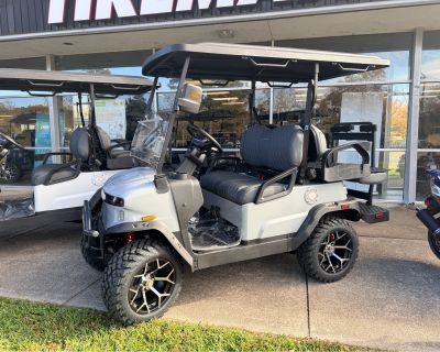 2025 Denago EV Nomad XL Electric Golf Carts Richmond, VA