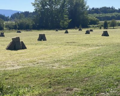 Hay