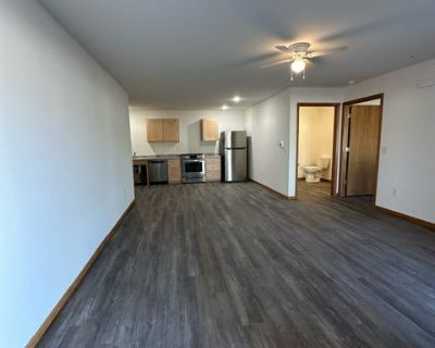 2 Bedroom 2BA 938 ft Pet-Friendly Apartment For Rent in Prairie du Chien, WI