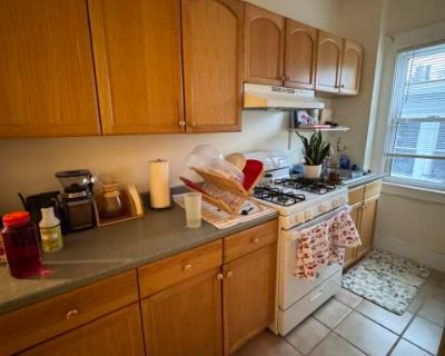 2 Bedroom 1BA 0 ft Pet-Friendly Apartment For Rent in Cambridge, MA