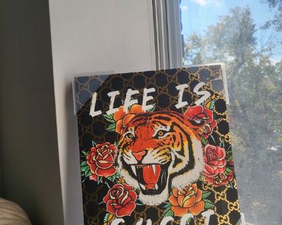 Kane (Has an Apartment) on iROOMit. Room in the 2 Bedroom 1BA Pet-Friendly...