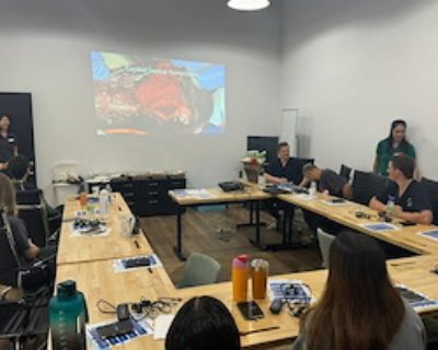 Training Room for 30 at Office146