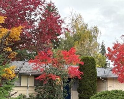 Th Ave Se, Bellevue, Home For Rent